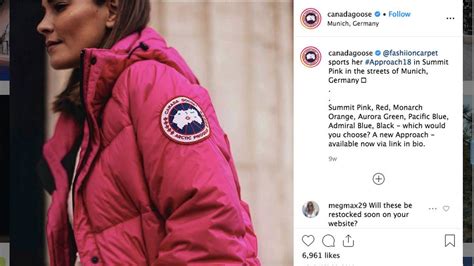 canada goose coats stolen